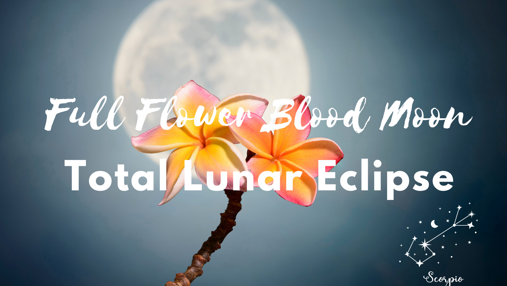 Full Flower Blood Moon | Total Lunar Eclipse in Scorpio