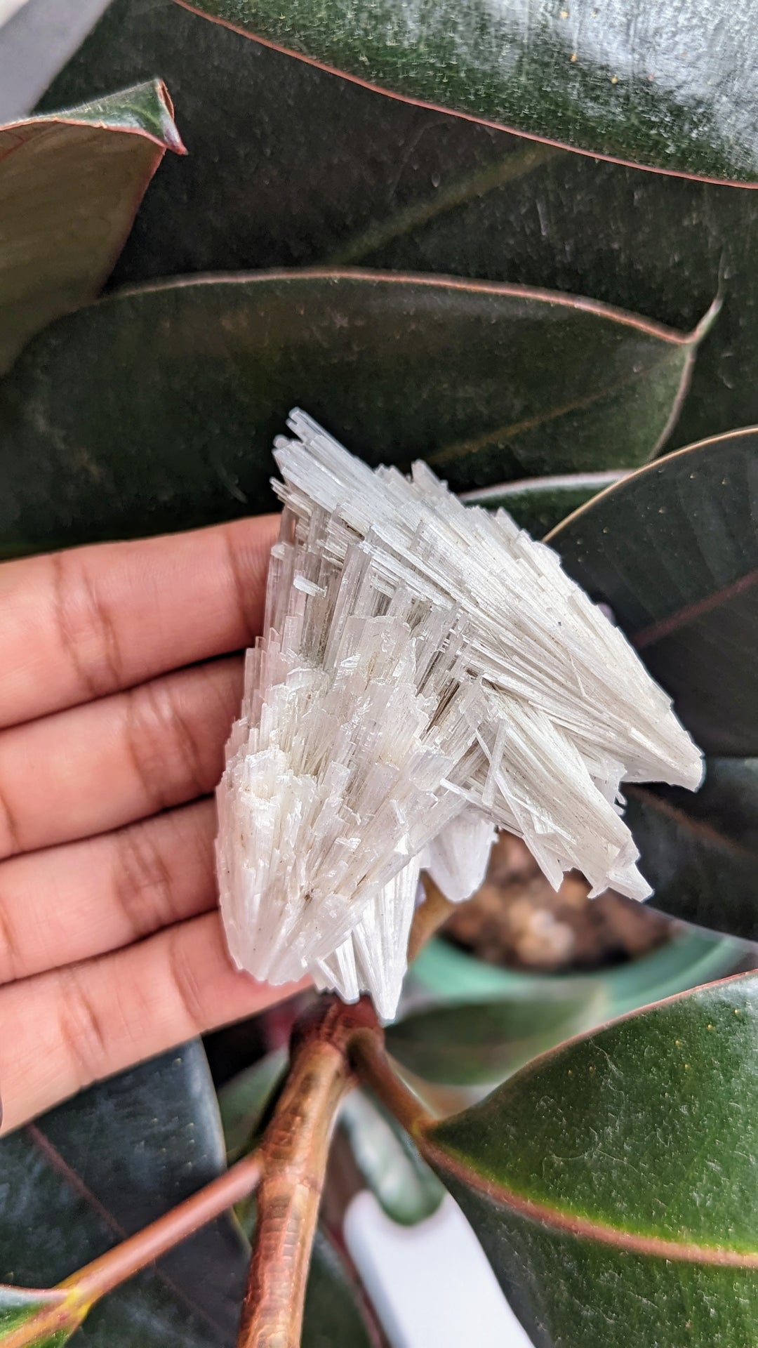 Scolecite