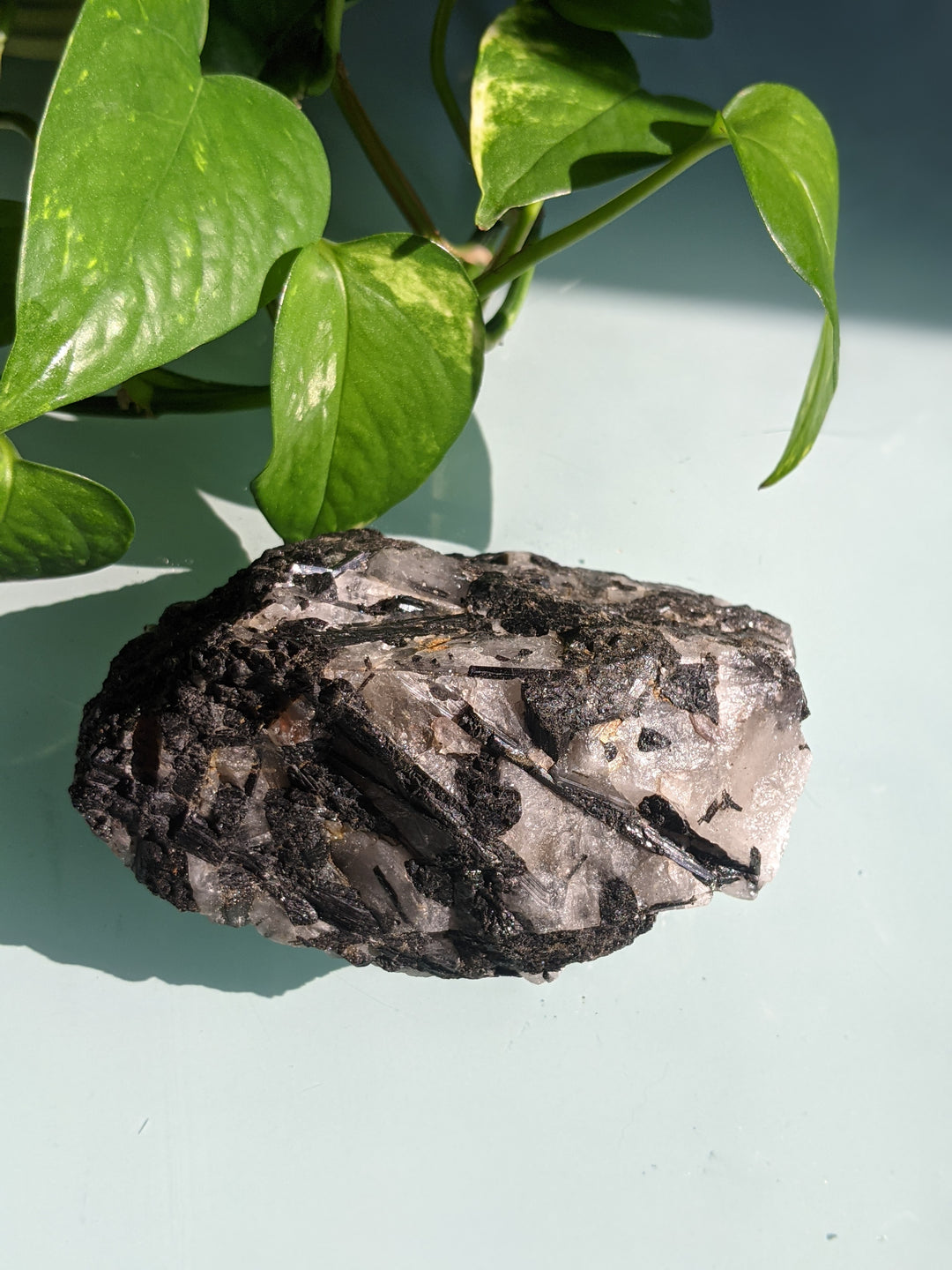 Black Tourmaline in Quartz