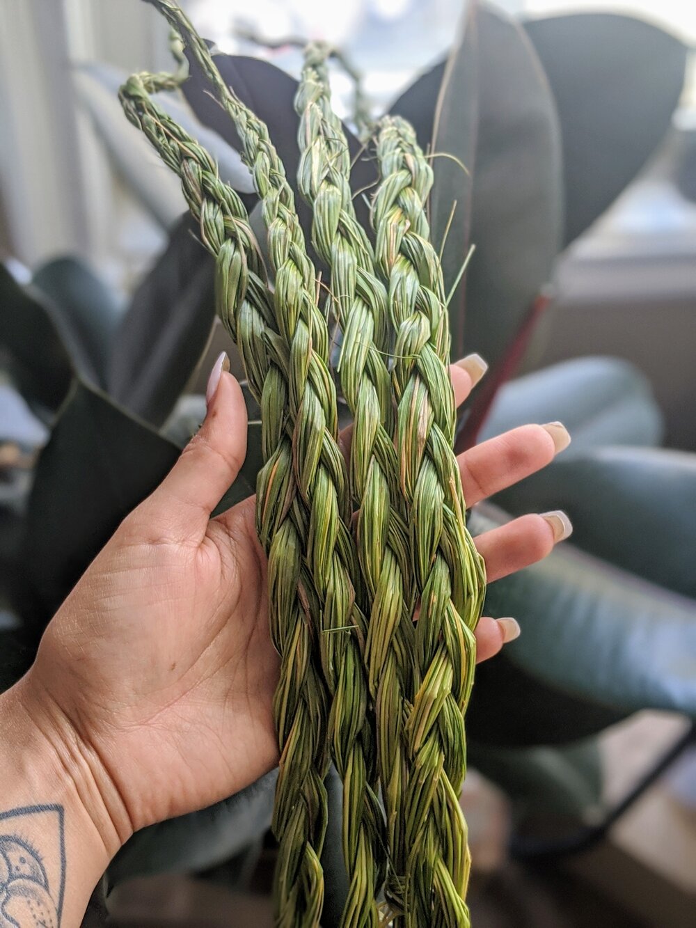 Sweetgrass Braid