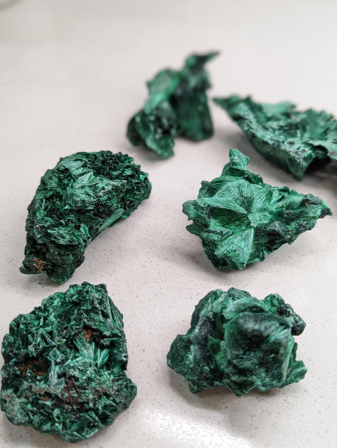 Velvet Malachite