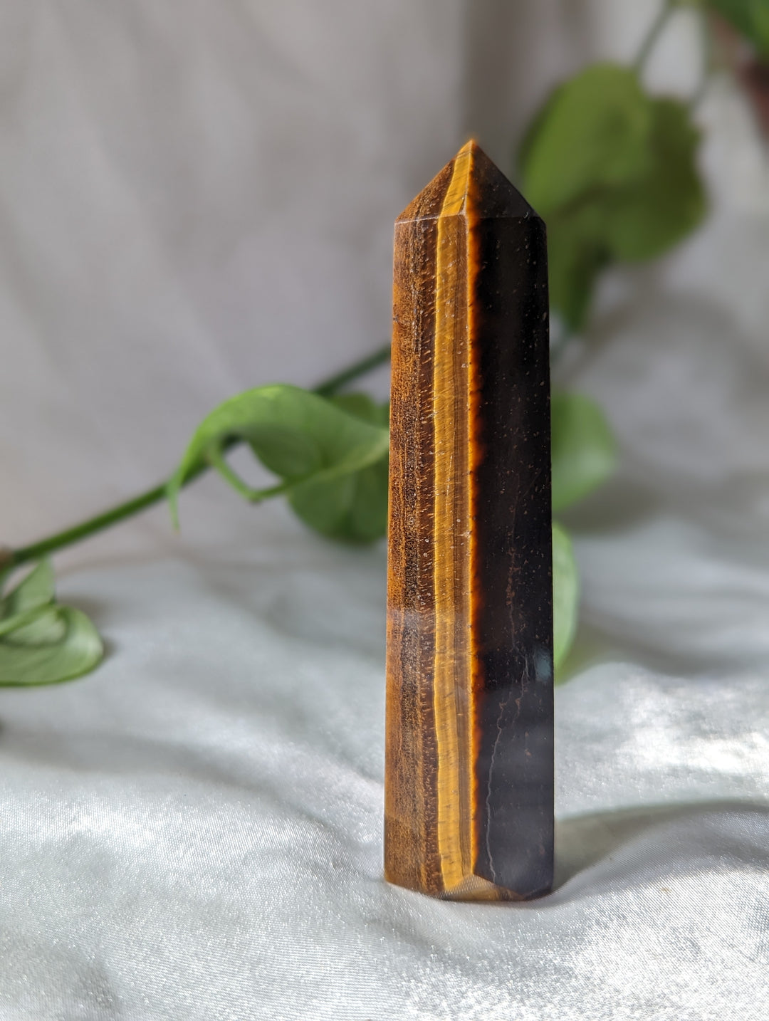 Tigers Eye Generator